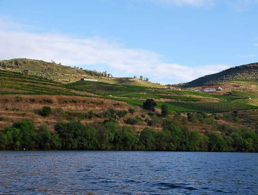image n.9 of Pinhão: Rabelo Boat 1-Hour Tour activity in Norte Region, uploaded by supplier