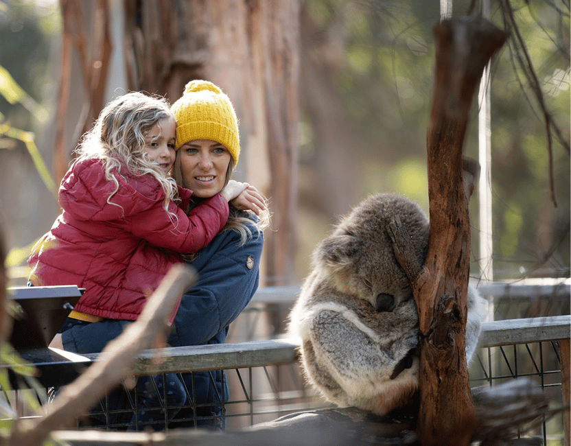 image n.5 of Melbourne Flexi Attractions Pass: 3, 5 or 7 Tickets activity in Melbourne, uploaded by supplier