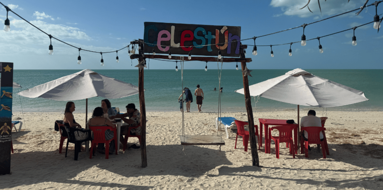 image n.18 of Merida: Celestun Boat Ride Mangrove Experience! Beach Time activity in Celestún, uploaded by supplier