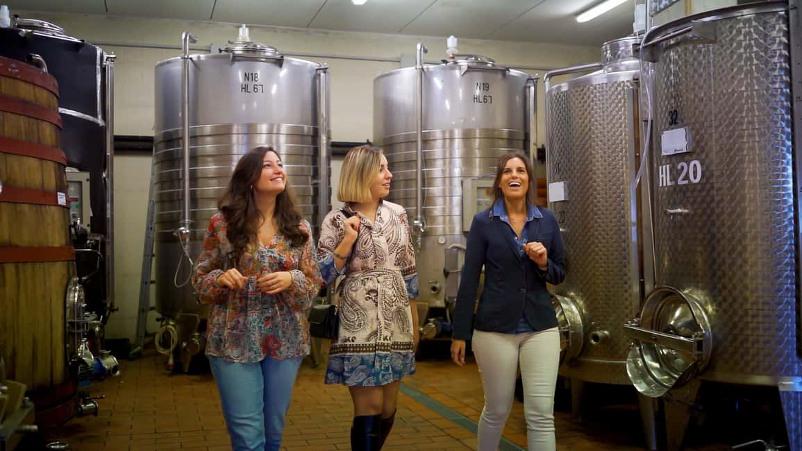 Immagine nº 12 di Firenze: Tour privato del Chianti, Montalcino e Montepulciano attività a Firenze, caricata dal fornitore