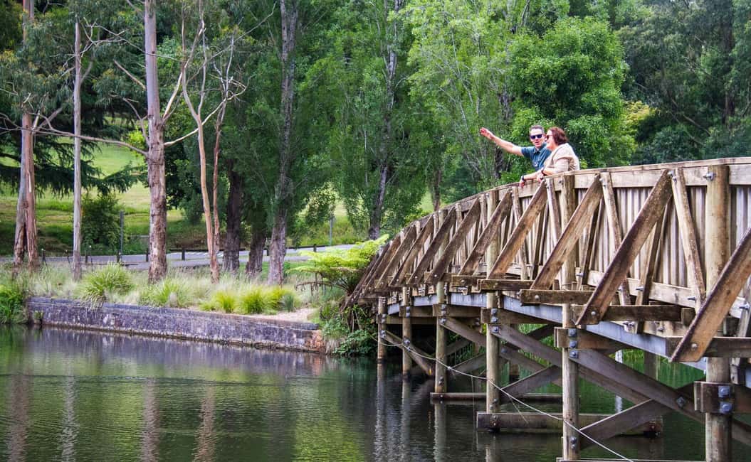 image n.16 of Melbourne: Half-Day Puffing Billy Steam Train Experience activity in Melbourne, uploaded by supplier