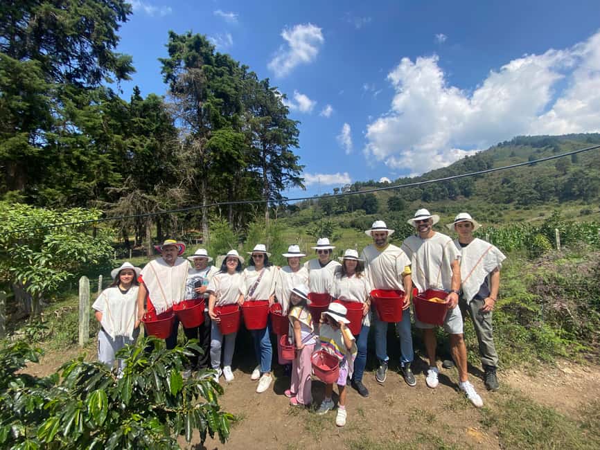 image n.19 of Medellín Coffee Farm Tour with Trolley and Cable Car Ride activity in Medellin, uploaded by supplier
