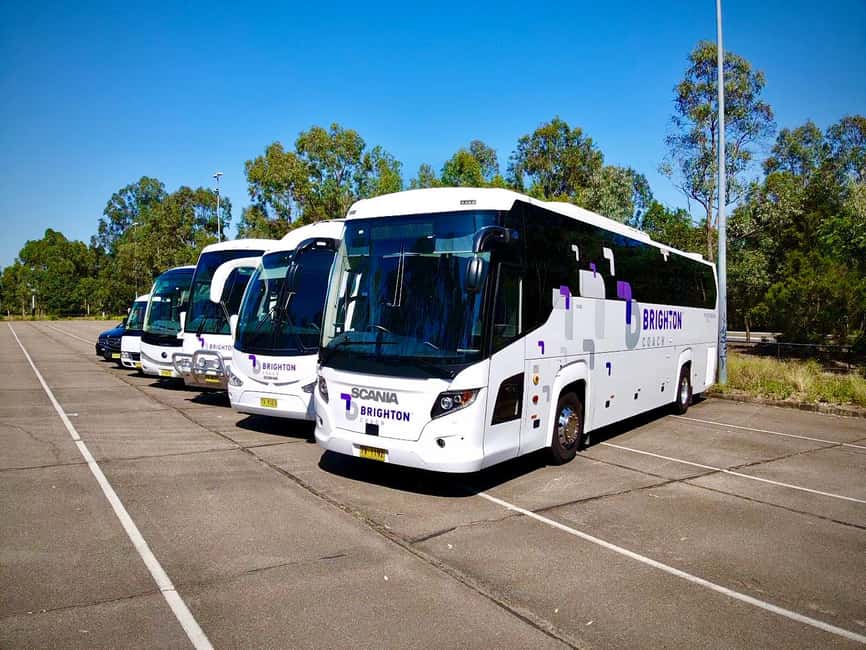 image n.11 of Sydney: Zoo, Blue Mountains and Scenic World Mandarin Tour activity in Katoomba, uploaded by supplier