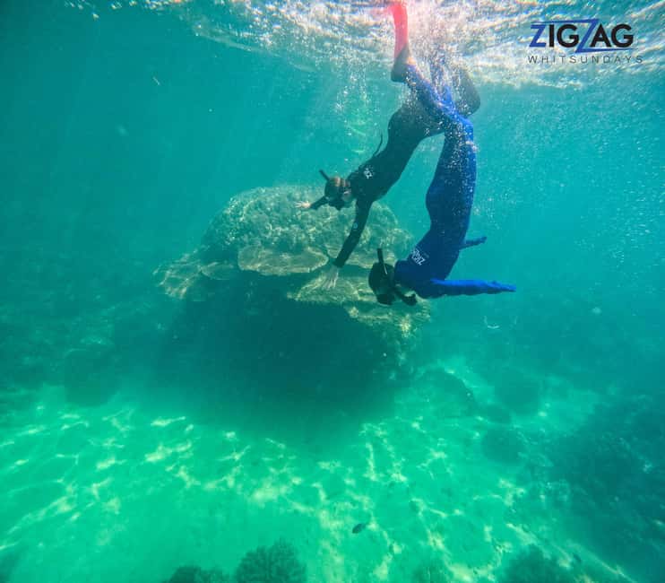 afbeelding n.7 van Airlie Beach: Whitehaven Beach Dagtour met snorkeloptie activiteit in Queensland, geüpload door aanbieder