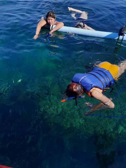 image n.9 of Bali dolphin, swim & snorkeling in Lovina Bali activity in Lovina, uploaded by supplier