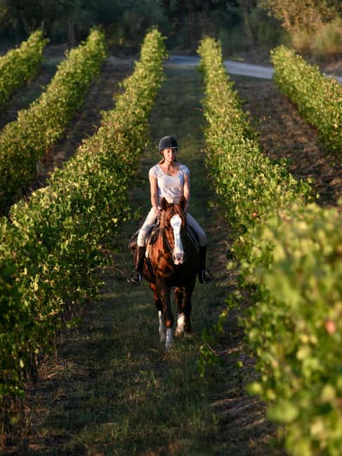 imagen n.º 14 de Siena: Aventura a caballo por la campiña toscana actividad en Siena, subida por el proveedor