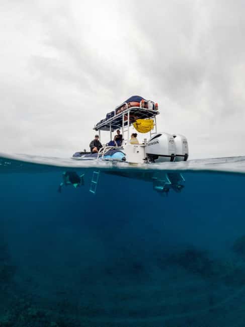 image n.5 of Wailea-Makina: Sea Caves, Molokini Snorkel & Turtle Town activity in Lahaina, uploaded by supplier