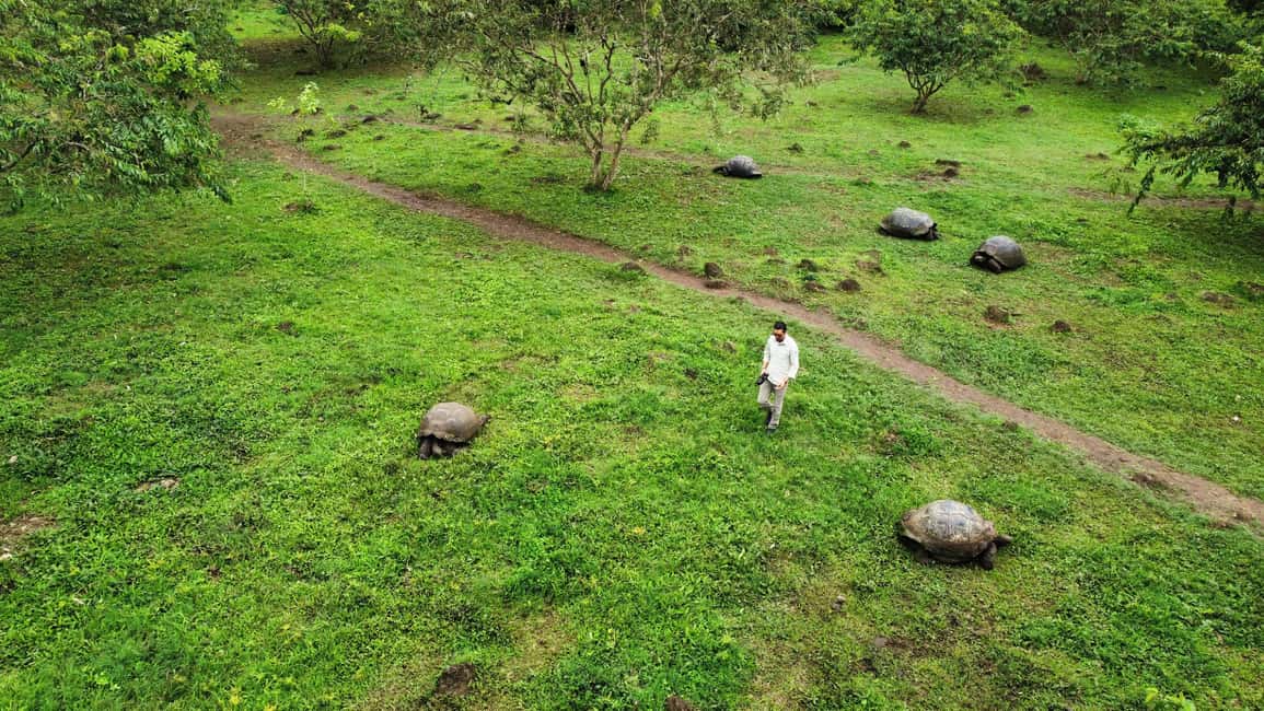 image n.6 of Puerto Ayora: The Galapagos Giant Tortoise Shared Experience activity in Galápagos Islands, uploaded by supplier