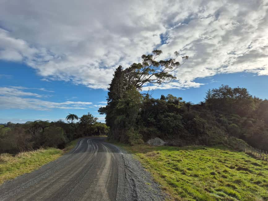 image n.6 of Explore Middle-Earth: Caves to Cinematic Landscapes activity in Waitomo, uploaded by supplier