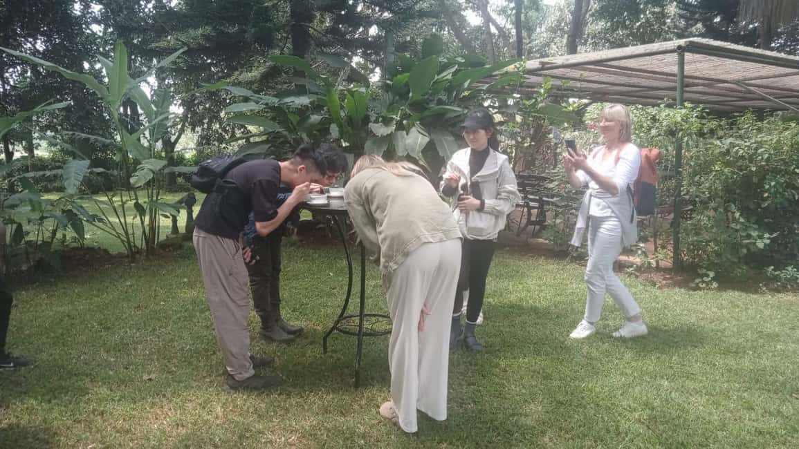 image n.63 of Coffee Farm Tour (Fairview) activity in Kiambu, uploaded by supplier