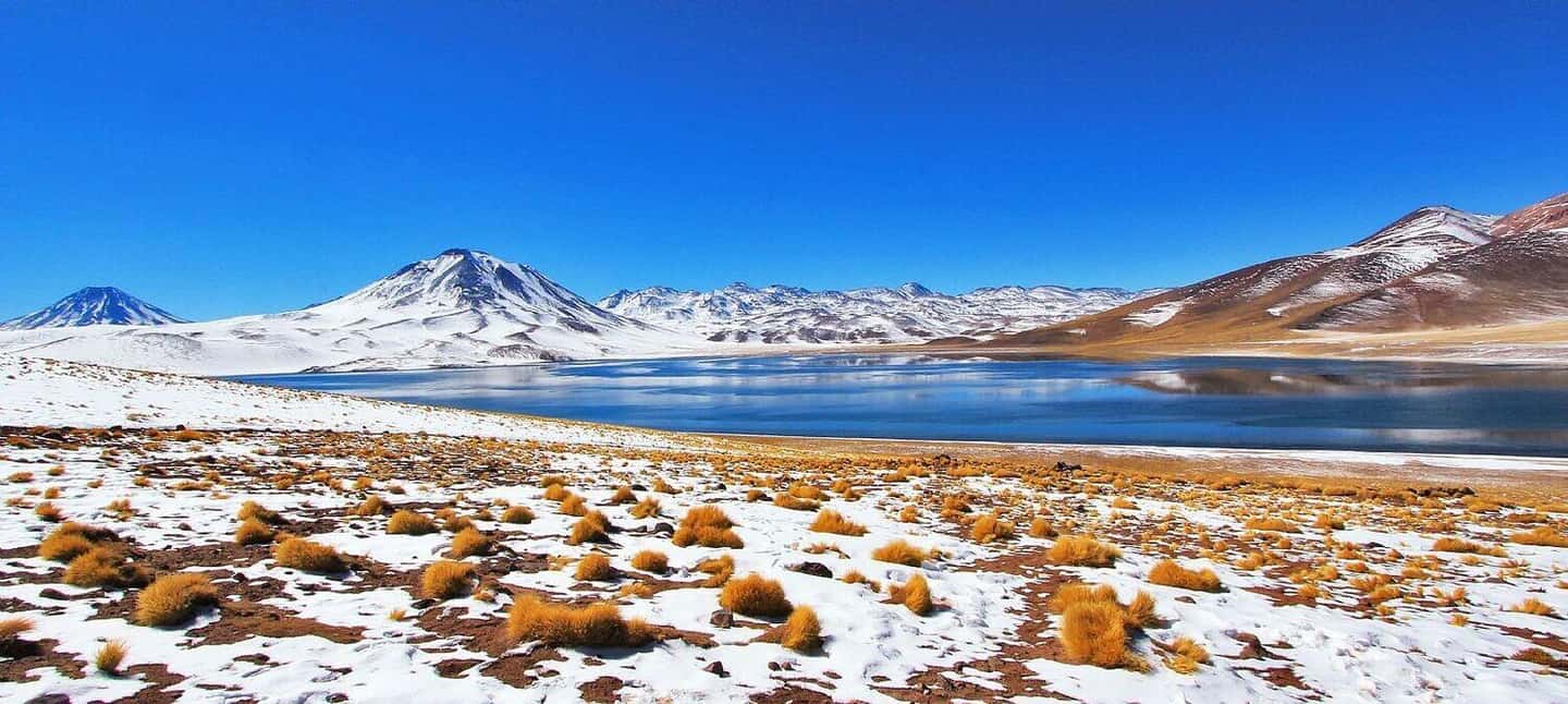 image n.3 of Triple tour: Red stones, highland lagoons and Chaxa Lagoon activity in North Chile, uploaded by supplier