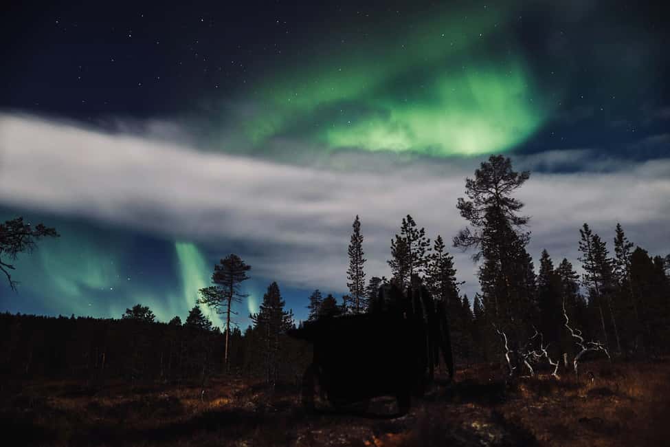 image n.10 of Saariselkä,Kakslauttanen: Aurora Hunting & Photography Tour. activity in Saariselkä, uploaded by supplier