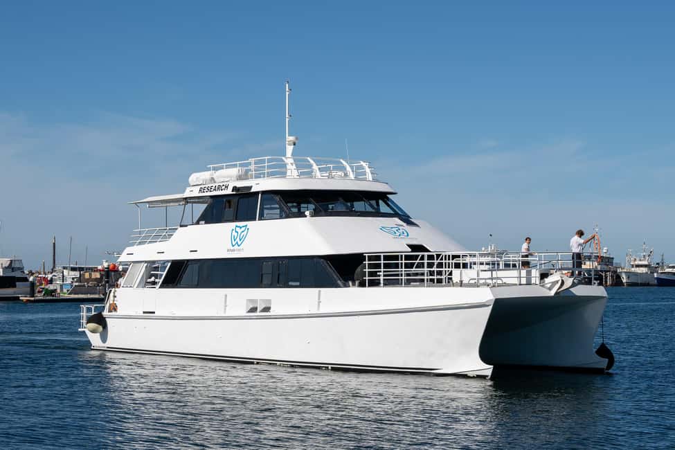 image n.8 of From Fremantle: 2-Hour Luxury Whale-Watching Cruise activity in Fremantle, uploaded by supplier