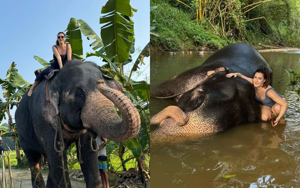 Image N°3 de Au départ de Colombo : visite des sites incontournables de Kandy et de l'orphelinat des éléphants activité à Province de Sabaragamuwa, publiée par le prestataire