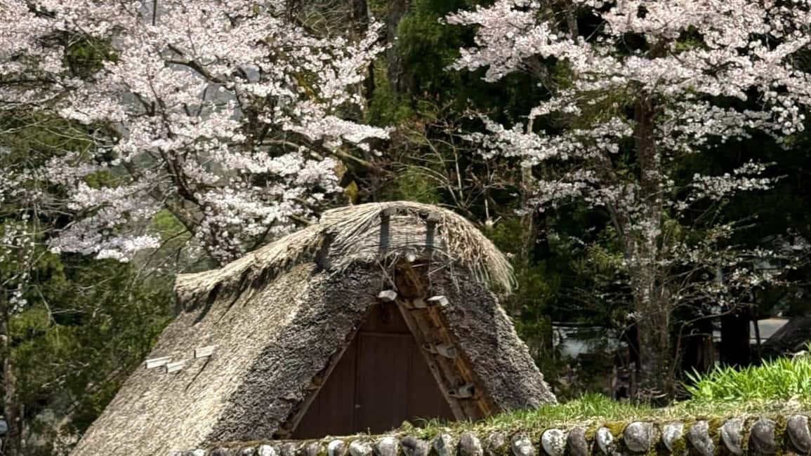 サプライヤーによってアップロードされた、高山の金沢/高山発：白川郷＆高山日帰りツアーの画像#37