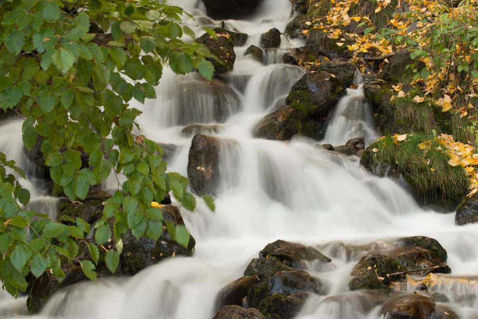 image n.7 of Anchorage: Turnagain Arm Highlights Photography Day Trip activity in Alaska, uploaded by supplier