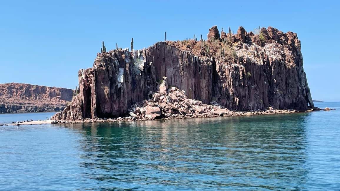 image n.21 of La Paz: Espiritu Santo Island and Balandra Bay Day Cruise activity in Baja California Sur, uploaded by supplier