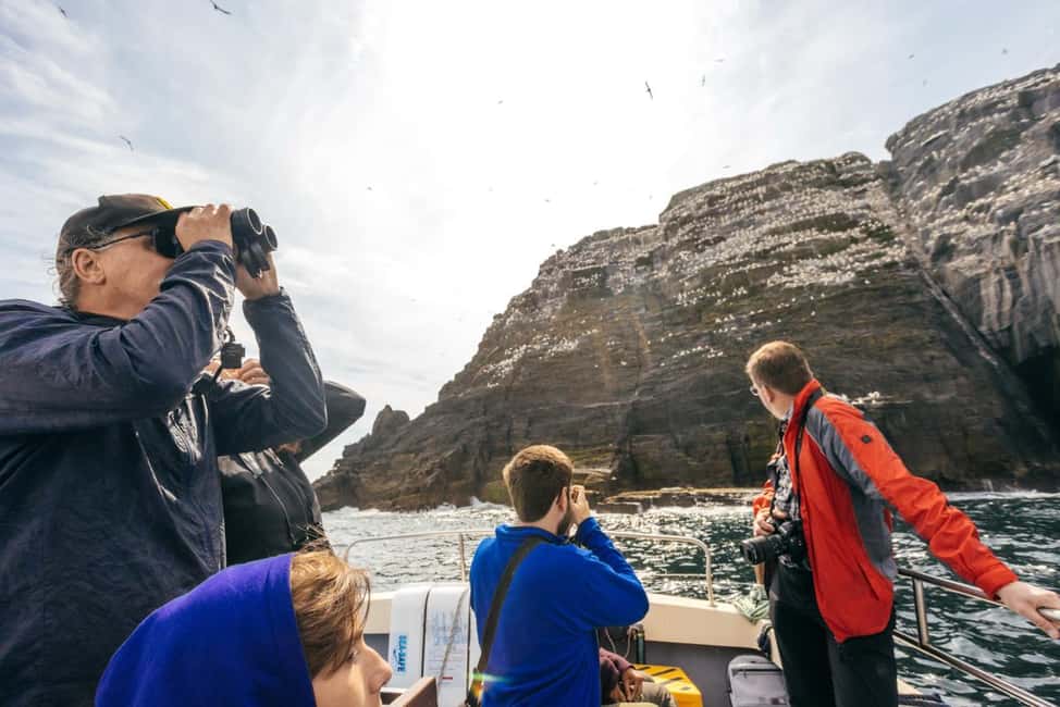 imagen n.º 13 de Skellig Michael: tour panorámico en barco por Great Skellig actividad en Munster, Irlanda, subida por el proveedor