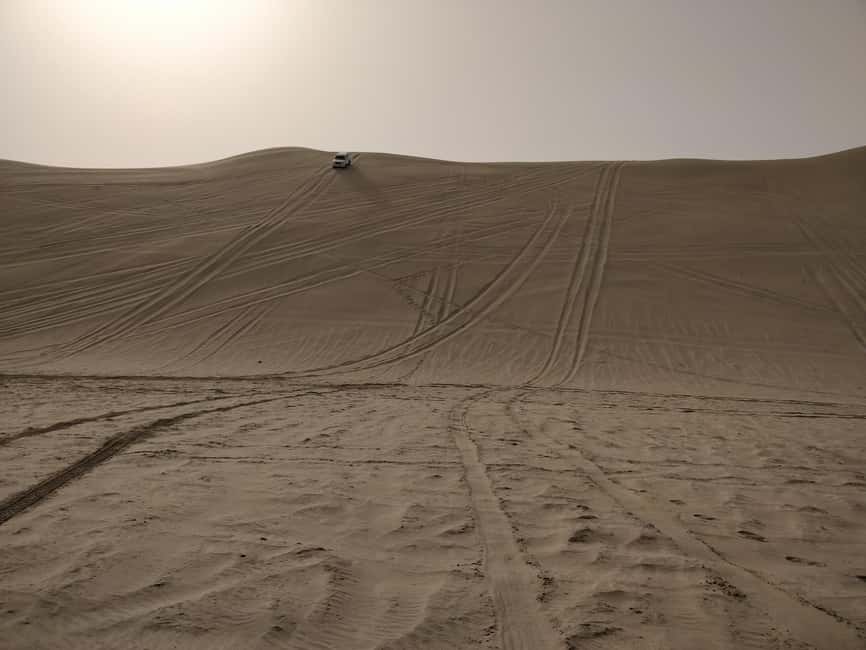 image n.23 of Desert Safari, QuadBike,Dune buggy, Sandboarding & CamelRide activity in Qatar, uploaded by supplier