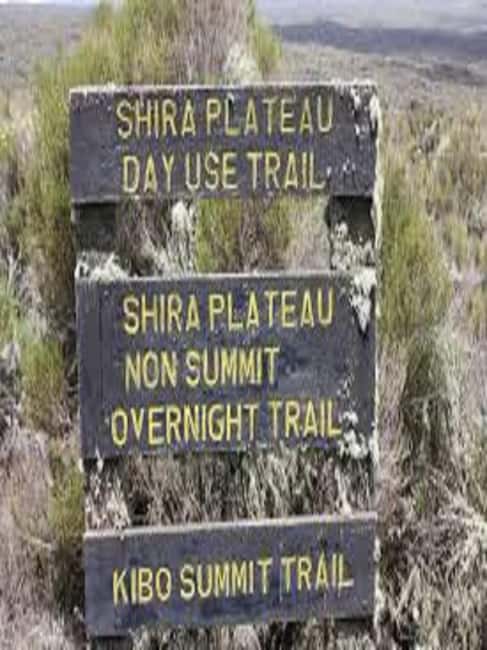 image n.7 of Best Kilimanjaro Day Hike With Car Shira Plateau experience activity in Arusha (Region), uploaded by supplier