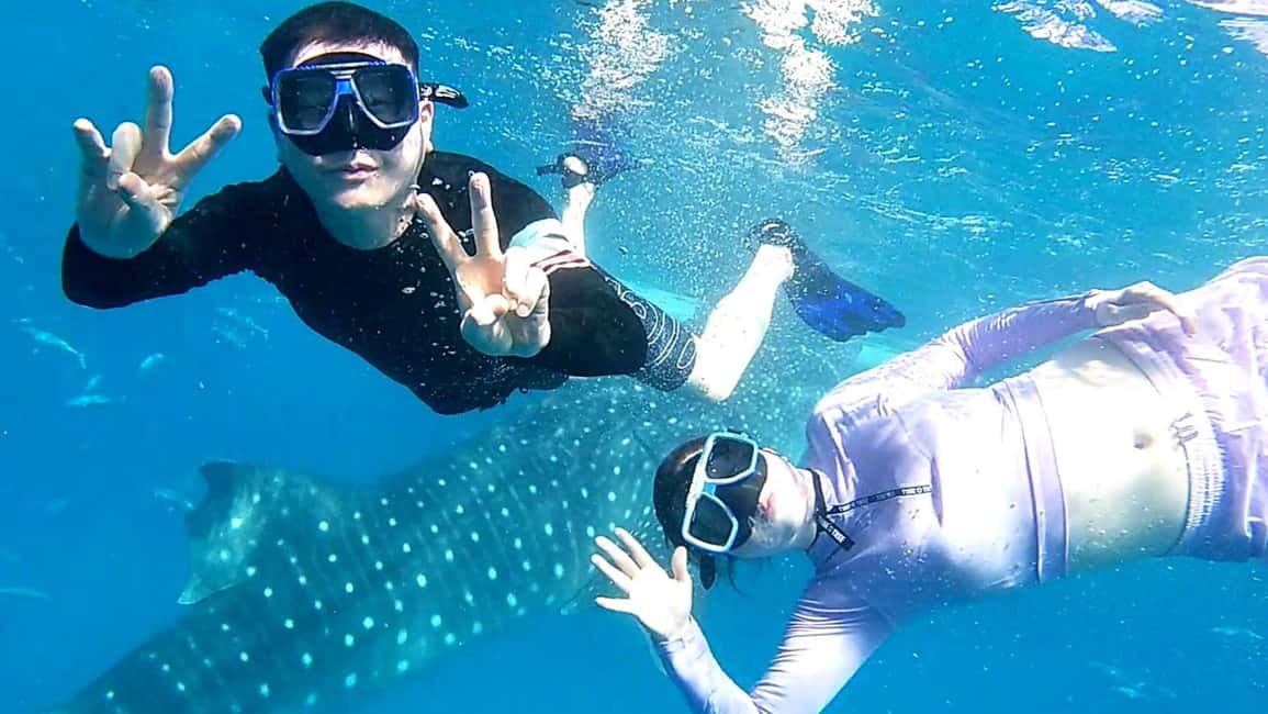imagem n.1 de Cebu: Nadar com tubarões-baleia, Cascatas de Kawasan e Corrida das Sardinhas de Moalboal atividade em Badian, carregada pelo fornecedor
