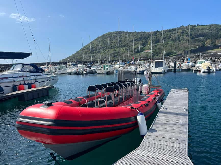 image n.6 of Terceira: Half-Day Dolphin and Whale Watching Tour activity in Angra do Heroísmo, uploaded by supplier