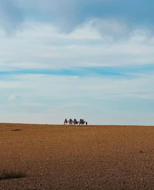 imagen n.º 22 de Marrakech: excursión en quad y paseo en camello por el desierto de Agafay con cena y espectáculo actividad en Marrakech, subida por el proveedor