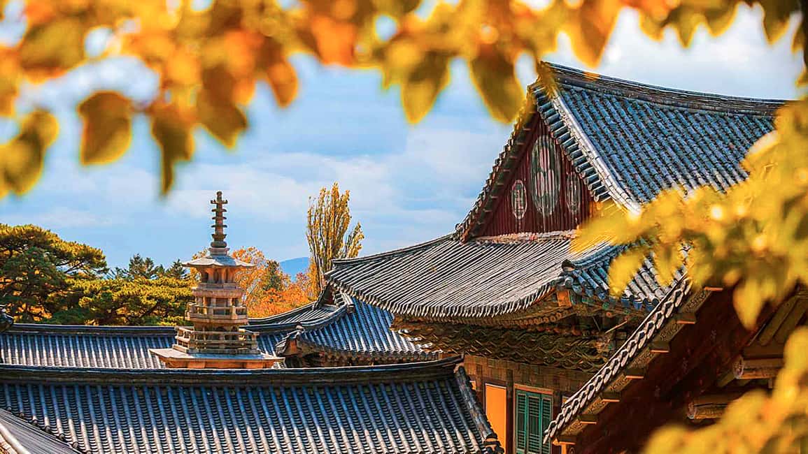 image n.4 of Busan: 7 Highlights Gyeongju City One Day Tour activity in Gyeongju, uploaded by supplier