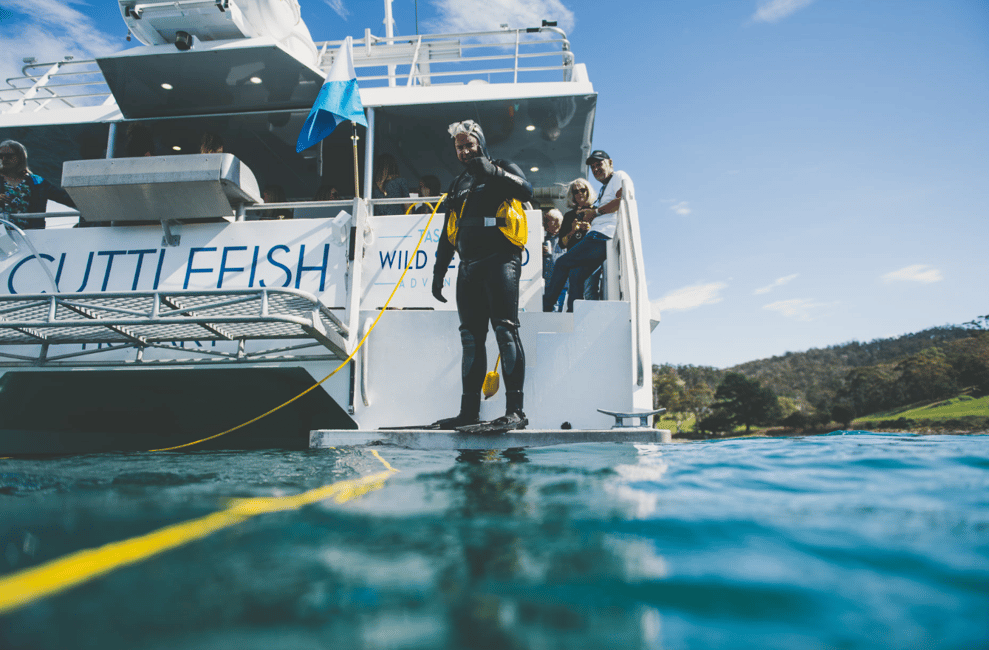 image n.4 of Hobart: Ultimate Seafood Cruise on a Spacious Catamaran activity in Hobart, uploaded by supplier