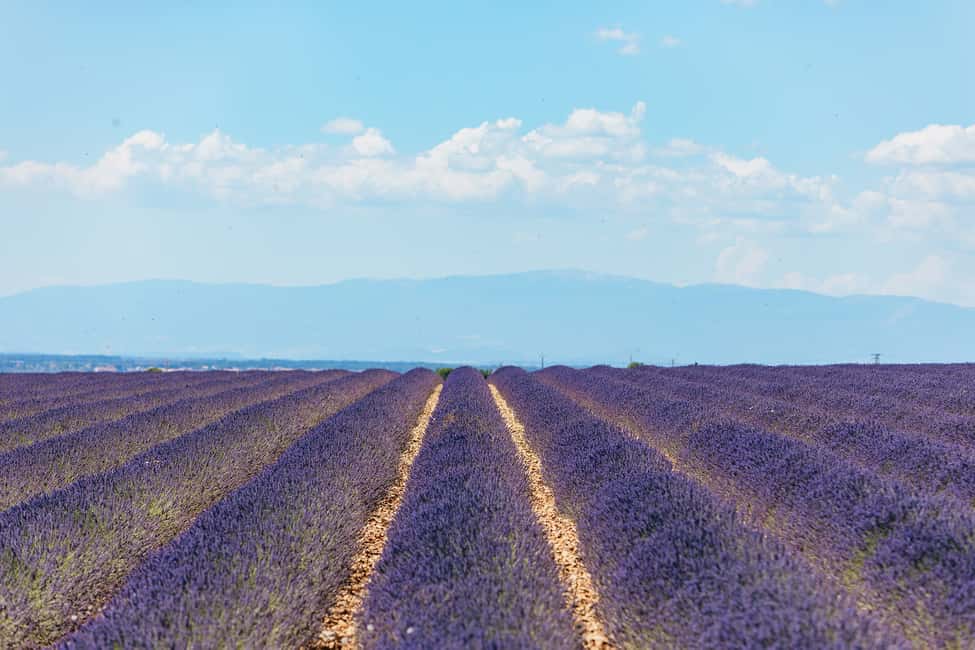 image n.15 of Nice: Gorges of Verdon and Fields of Lavender Tour activity in South of France, uploaded by supplier