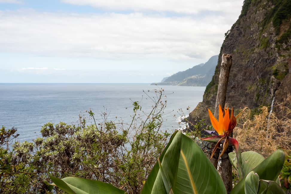 image n.25 of From Funchal: Best of Madeira's West Tour activity in São Vicente, Madeira, uploaded by supplier