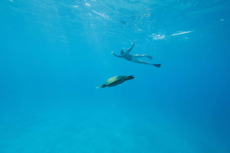 image n.16 of Maui: Molokini Snorkel and Performance Sail with Lunch activity in Hawaii, uploaded by supplier