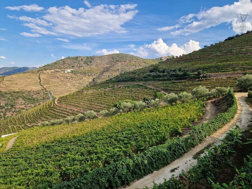 image n.25 of DOURO VALLEY: Premium Wine Tour, Winery Lunch & Private Boat activity in Peso da Régua, uploaded by supplier