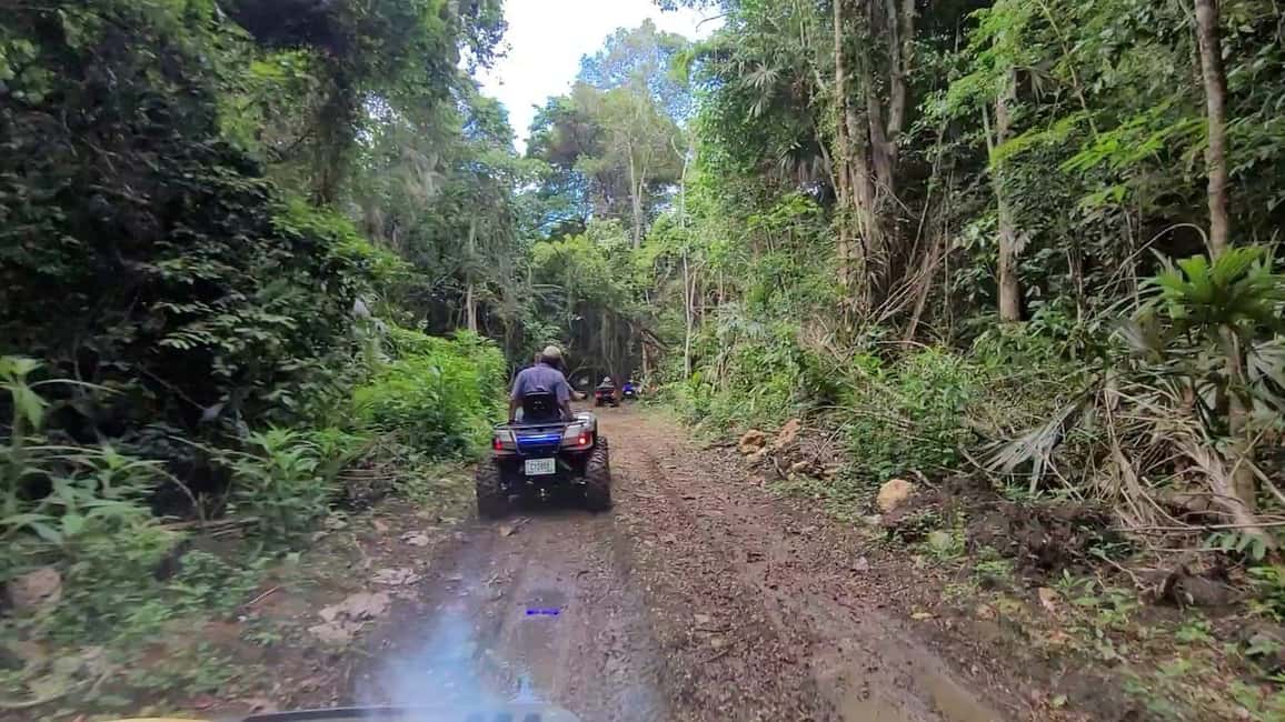 afbeelding n.3 van Vanuit San Ignacio: ATV-expeditie naar de Maya-ruïnes van El Pilar activiteit in Cayo (district), geüpload door aanbieder