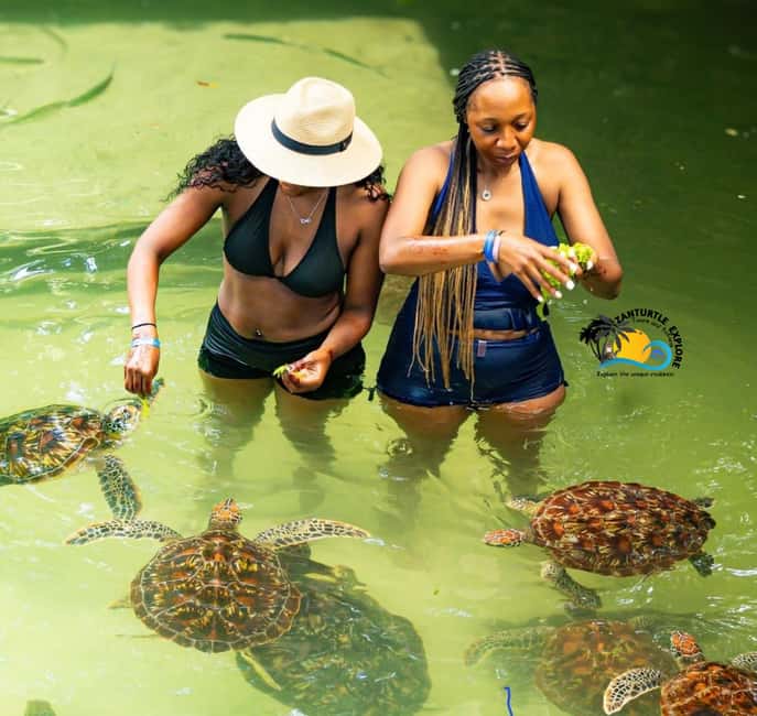 image n.22 of Nungwi: Swimming with Turtles at The Lagoons Zanzibar activity in Zanzibar City, uploaded by supplier