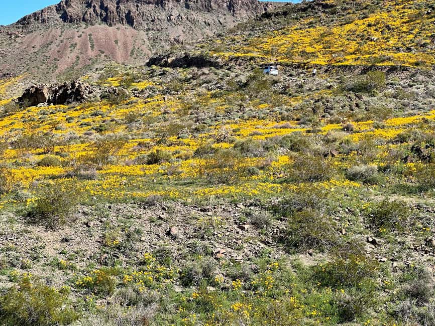 image n.40 of Oatman Mining Village: Burros/Route 66 Scenic Mountain Tour activity in Kingman, uploaded by supplier