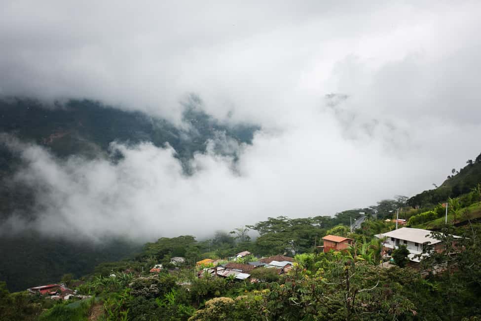 imagem n.20 de Medellín: Tour do café, chegada a cavalo e cana-de-açúcar atividade em Medellín, carregada pelo fornecedor