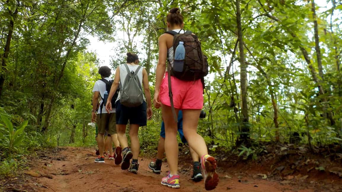 image n.13 of From Chiang Mai: High Mountain Day Trek activity in Chiang Mai Province, uploaded by supplier