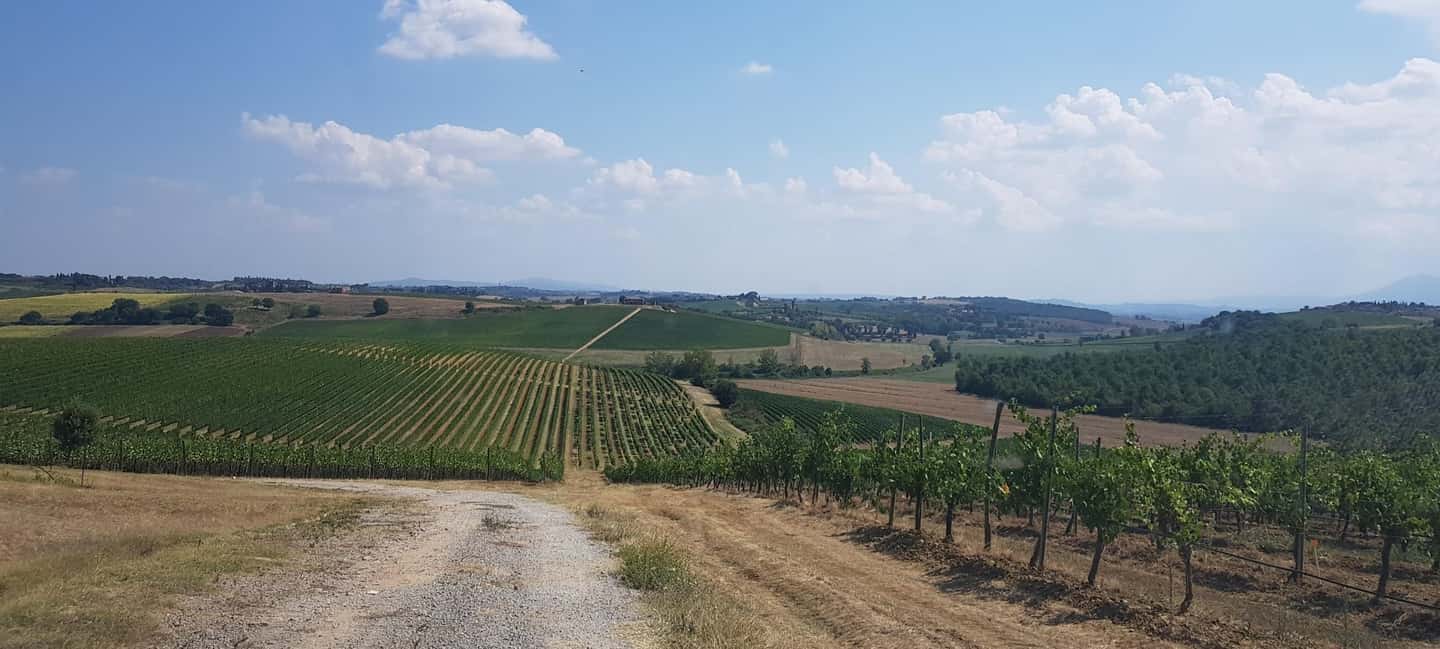 imagem n.8 de Toscana: Siena, San Gimignano e Chianti Wine Tour atividade em San Gimignano, carregada pelo fornecedor