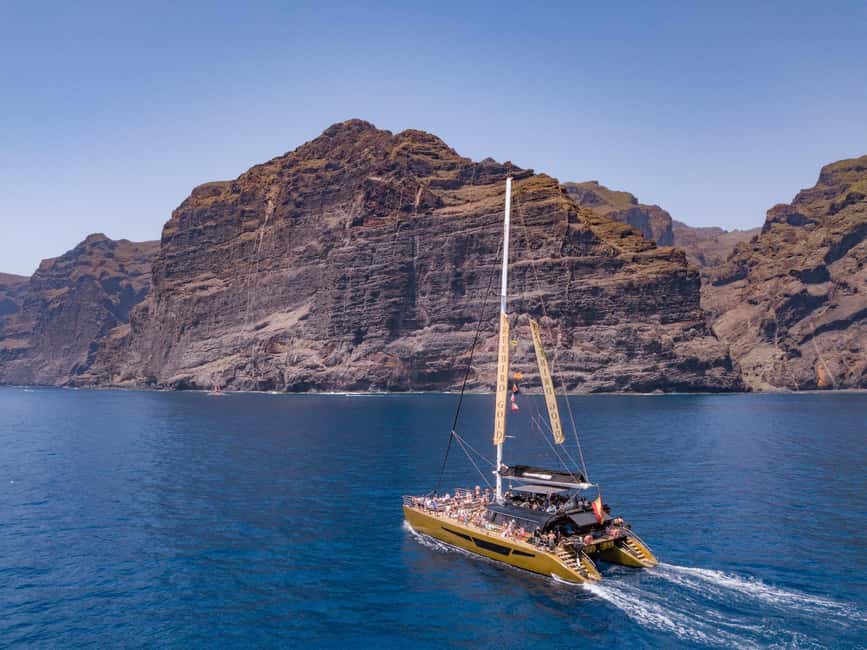 image n.9 of Costa Adeje: Masca and Los Gigantes Whale Watching Cruise activity in Costa Adeje, uploaded by supplier