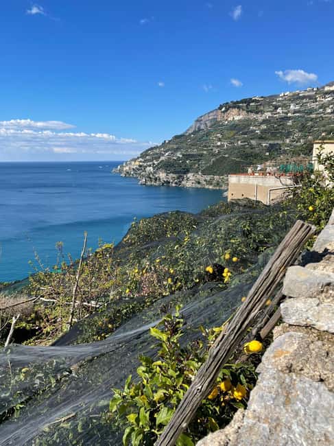 image n.32 of Maiori: Amalfi Coast Path of Lemons Day Trip with Tastings activity in Maiori, uploaded by supplier