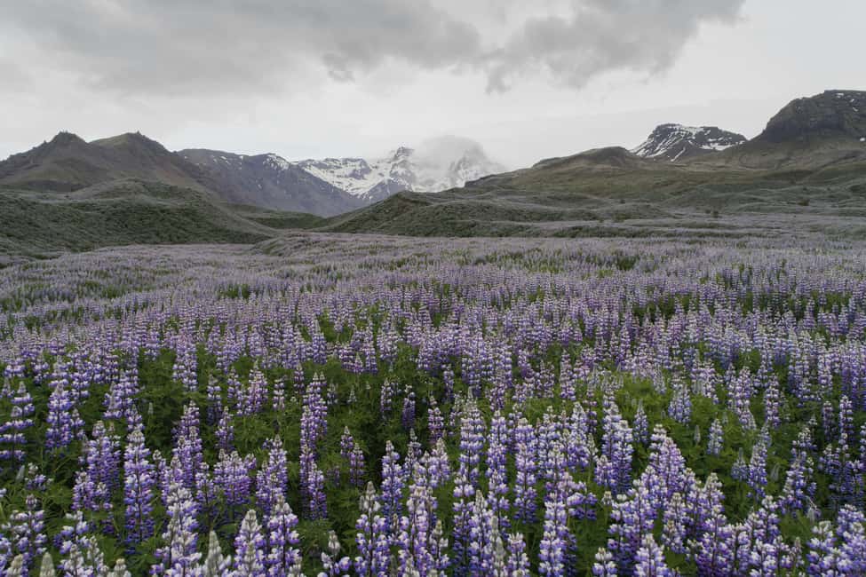 imagen n.º 2 de Tour privado a Landmannalaugar. Explora las Tierras Altas actividad en Suðurland, subida por el proveedor