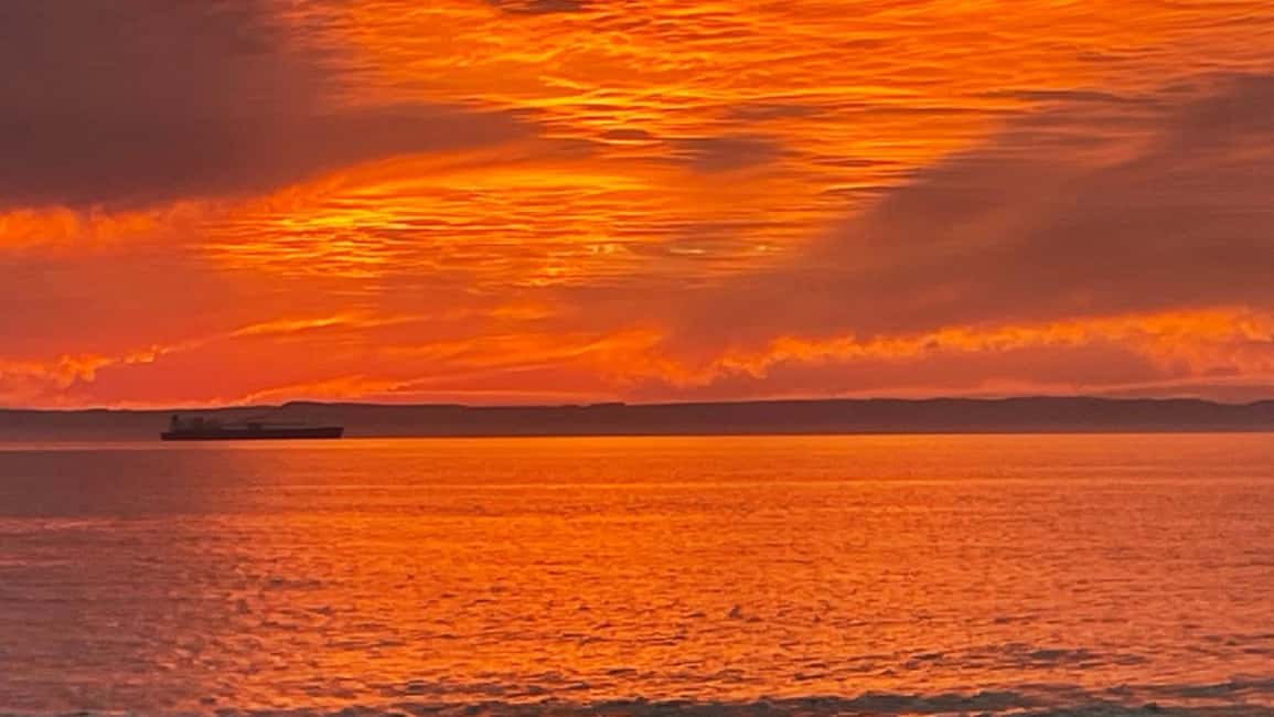 image n.11 of La Paz: Private Sunset Cruise W/ Snorkeling & Seafront View activity in La Paz, Mexico, uploaded by supplier