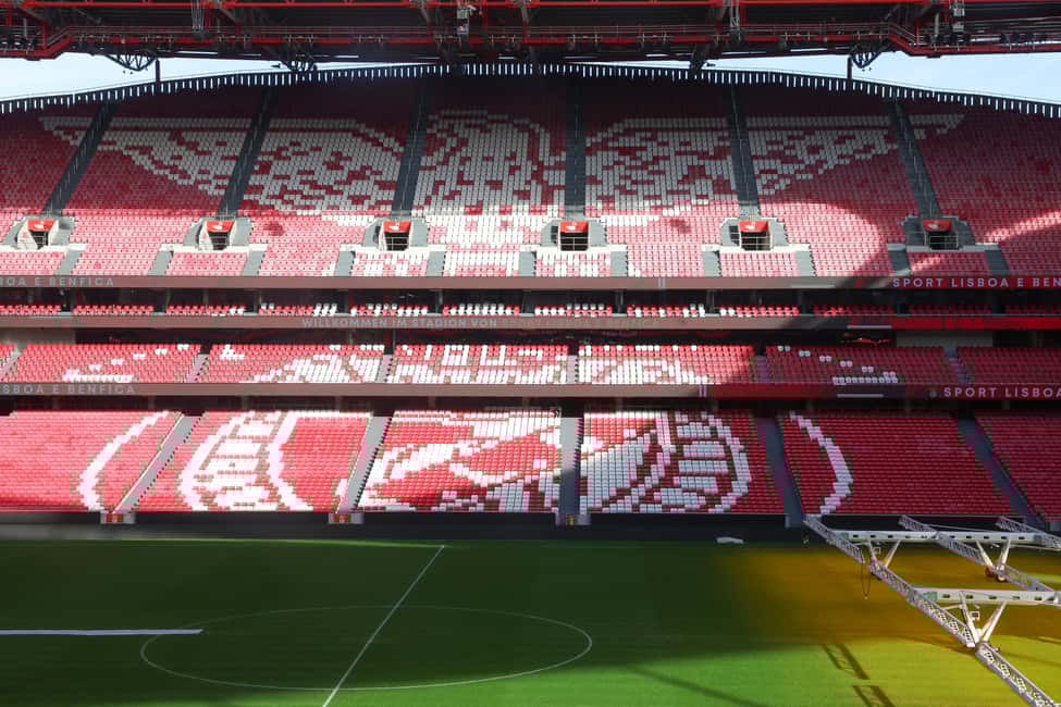 imagem n.1 de Lisboa: Passeio pelo estádio do Benfica Luz com cachecol de lembrança atividade em Lisboa, carregada pelo fornecedor