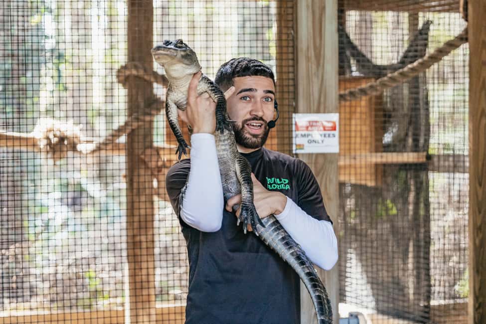 bild n.6 av Orlando: Drive-Thru Safari Park i Wild Florida aktivitet i Florida, uppladdad av leverantör
