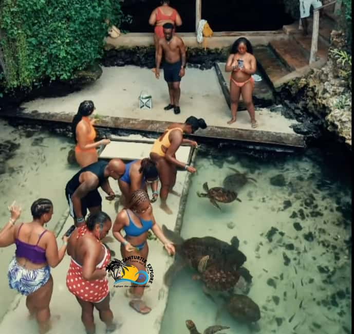 image n.31 of Nungwi: Swimming with Turtles at The Lagoons Zanzibar activity in Zanzibar City, uploaded by supplier