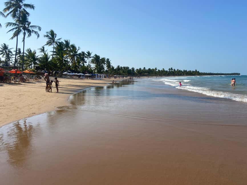 image n.6 of Transfers between Salvador and Barra Grande Maraú activity in Northeast Region, Brazil, uploaded by supplier