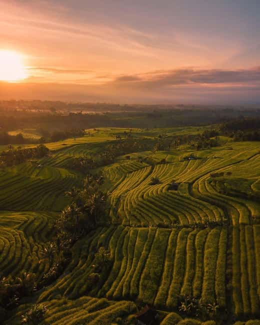 image n.12 of North Bali: Sekumpul and Banyumala Waterfalls & Rice Terrace activity in Bali, uploaded by supplier