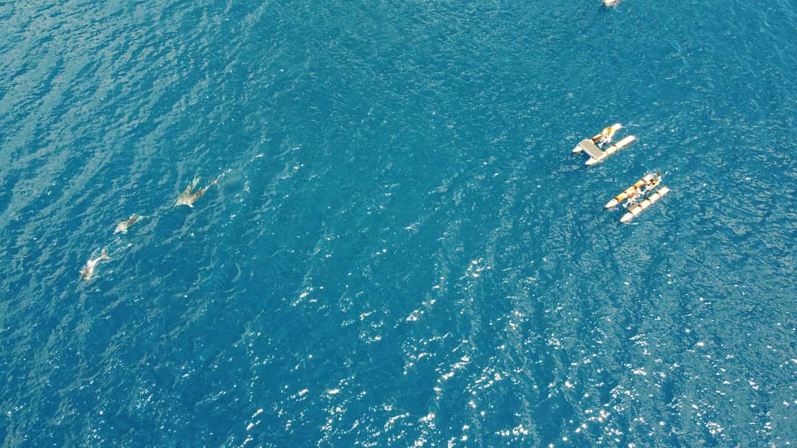 image n.2 of Golfo Aranci: Hydrobike Experience with Aperitif & Dolphins activity in Sardinia, uploaded by supplier