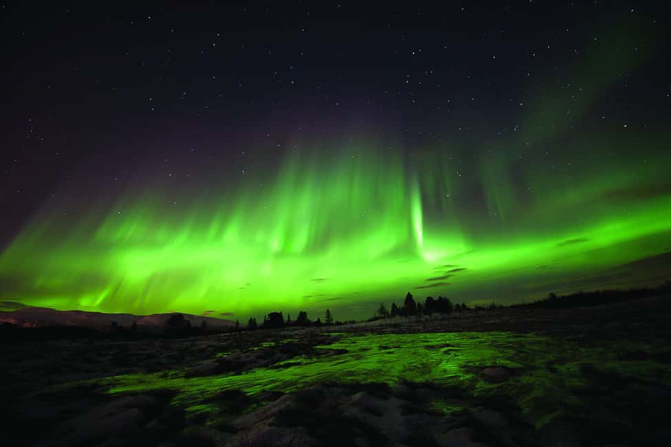 image n.9 of Tromsø: Northern Lights Husky Visit with Traditional Dinner activity in Tromsø, uploaded by supplier